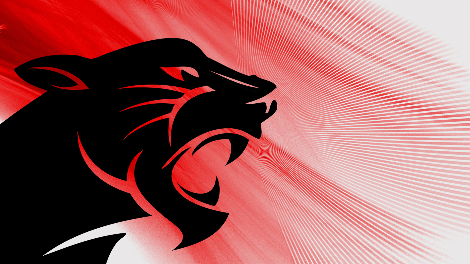 Zoom Virtual BG Black Panther 11.jpg