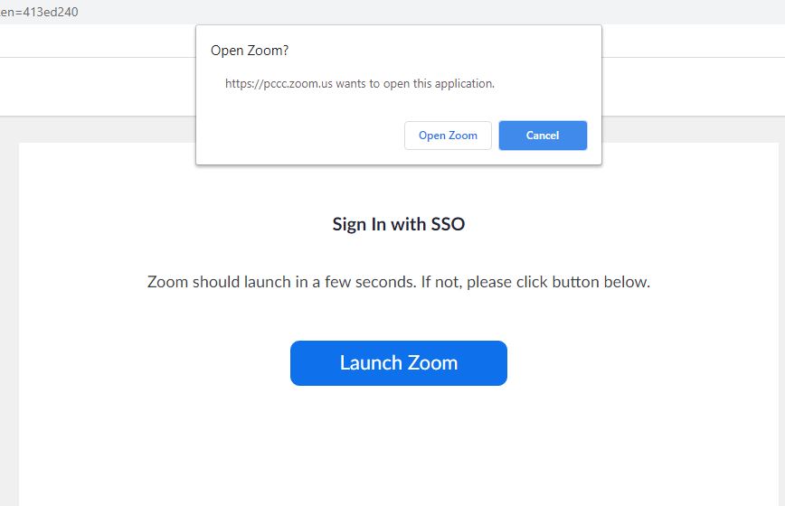 Popup-Open Zoom